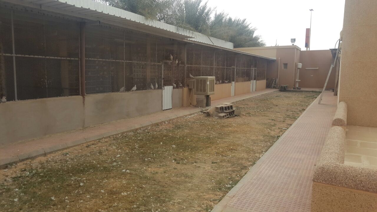 للبيع استراحه عائليه بحي الغوطه بعنيزة مساحه 2000 مترشارع شمالي 20
