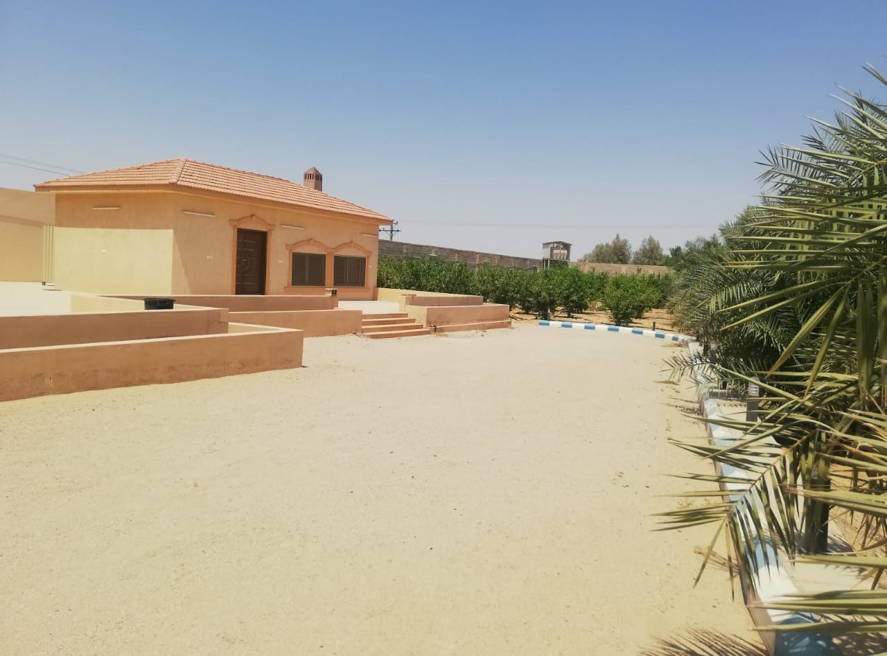 للبيع مزرعه بمحافظة البكيرية بالقصيم   مساحتها ٢٨٢٩٤ متر